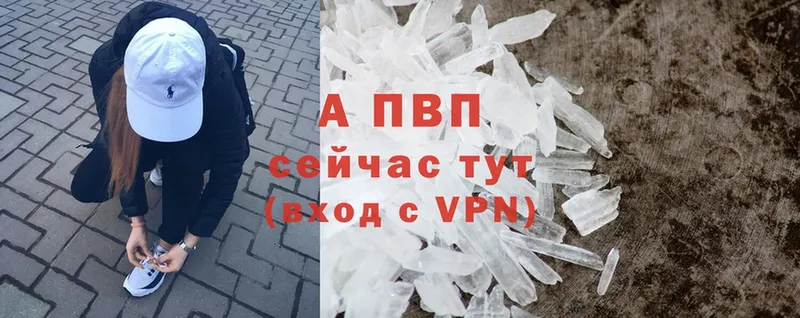 A-PVP СК КРИС  Курчатов 