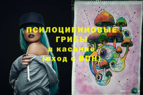 твердый Надым