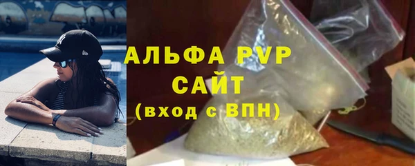 индика Нефтекумск