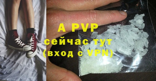 индика Нефтекумск