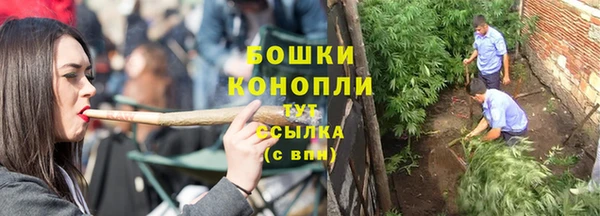 трава Нея