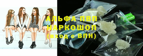 индика Нефтекумск