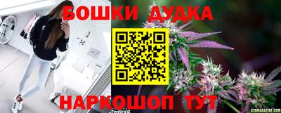 спиды Гусев