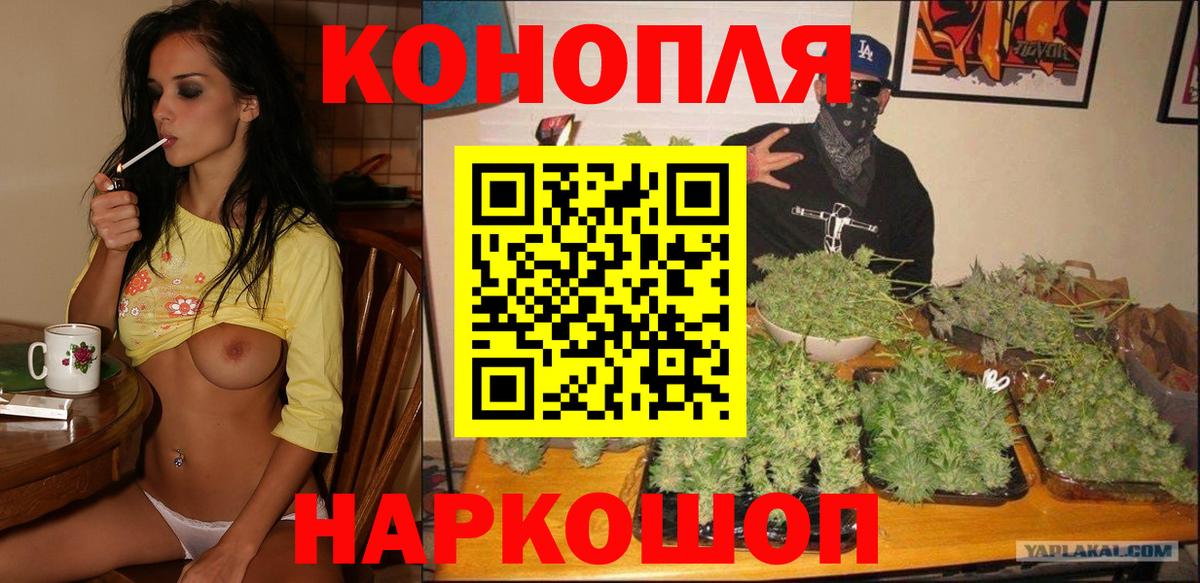 Курчатов  МАРИХУАНА конопля  Канабис Ganja  Вход с VPN 
